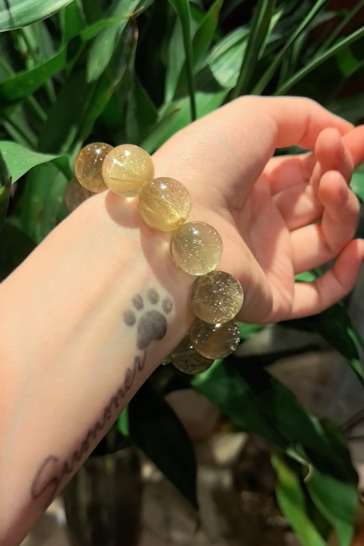 Golden Rutilated Quartz Bracelet, 19mm Beads